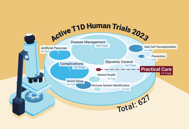 Active T1D Human Trials 2023 for the Juvenile Diabetes Cure Alliance (JDCA)