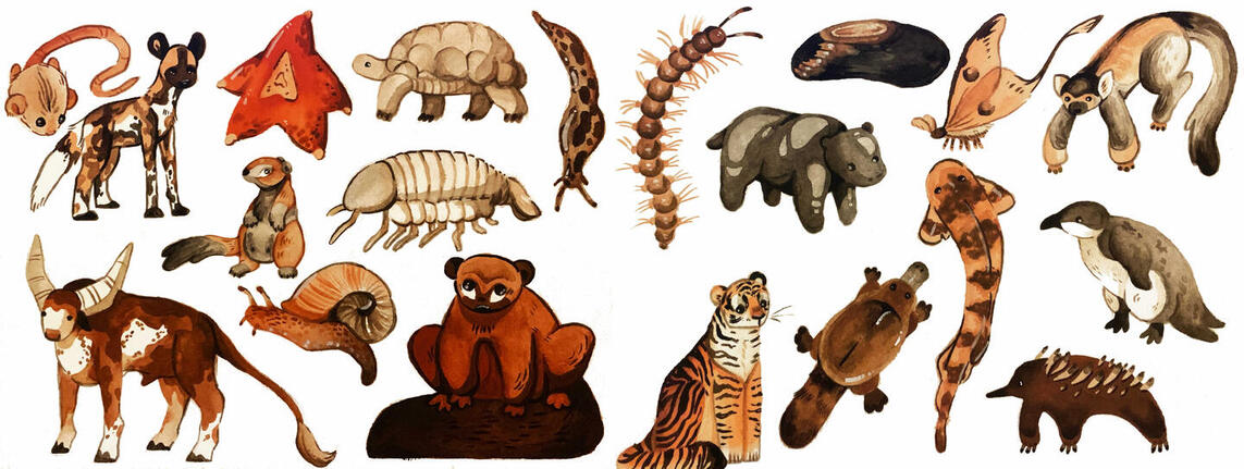 Set of monochrome cartoon animal illustrations. Gouache on paper.